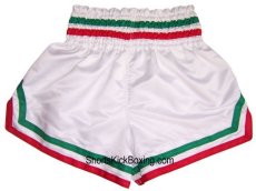 Shorts para Kick Boxing, Muay Thai, Morales, Liston Tricolor